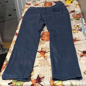 5/$3 Lucky Brand Slate Blue Trousers